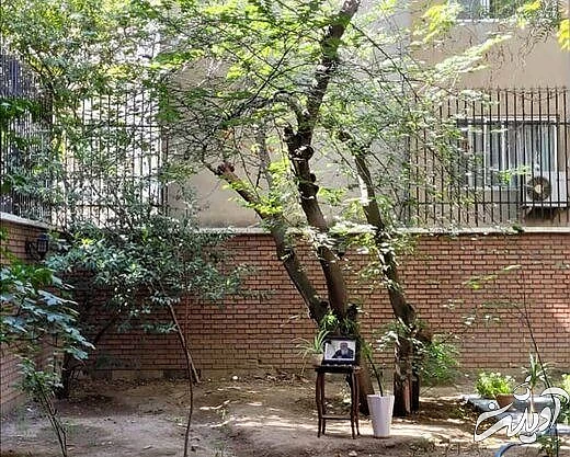 ابتهاج در رشت به خاک سپرده میشود